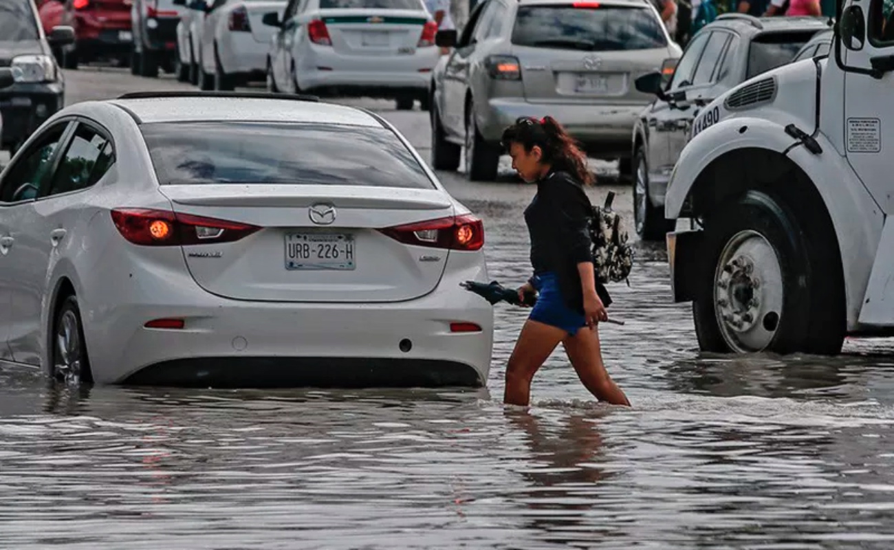 2024: El Año Más Cálido en Milenios Intensifica la Crisis Climática