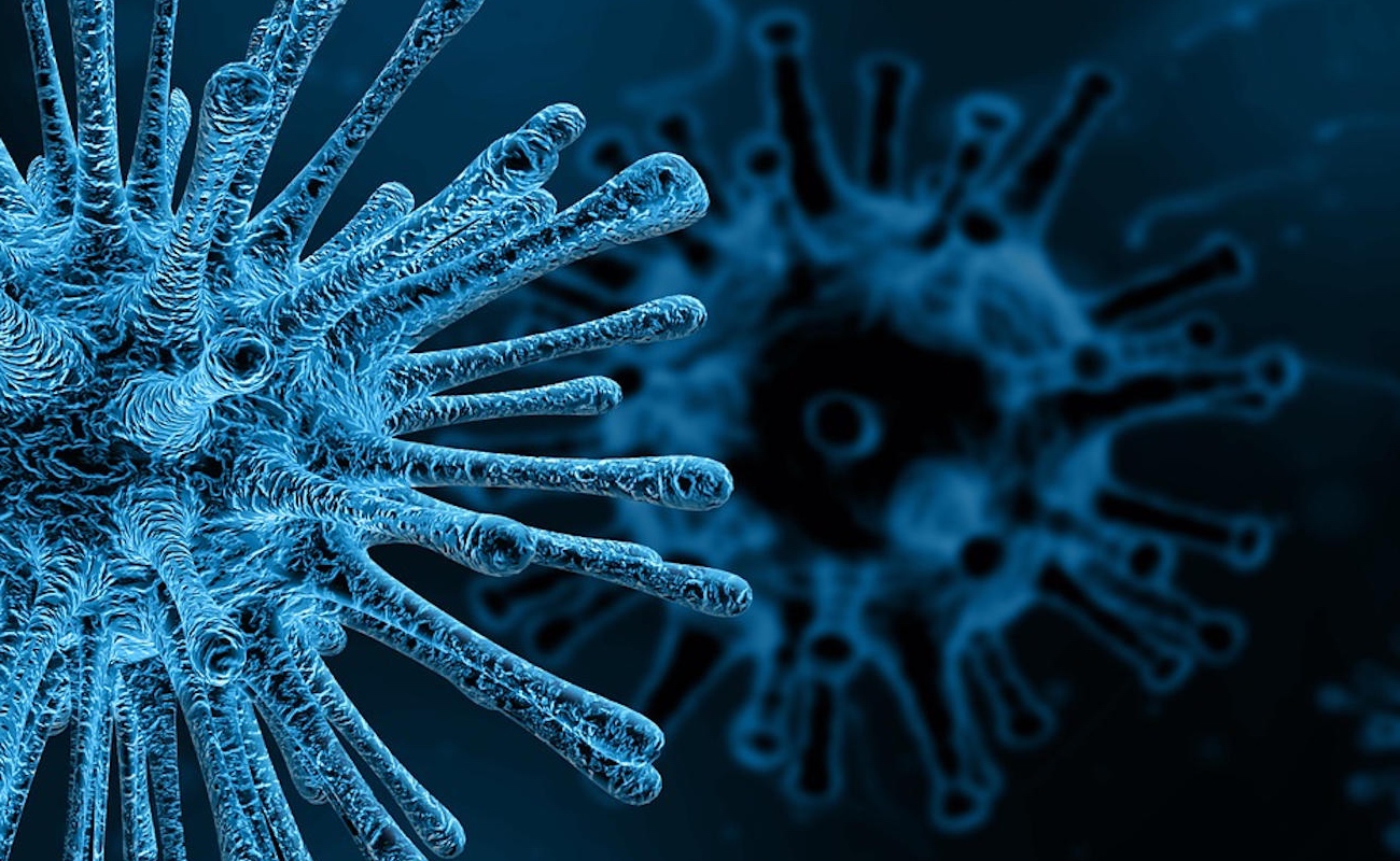 Los virus, los parásitos más abundantes