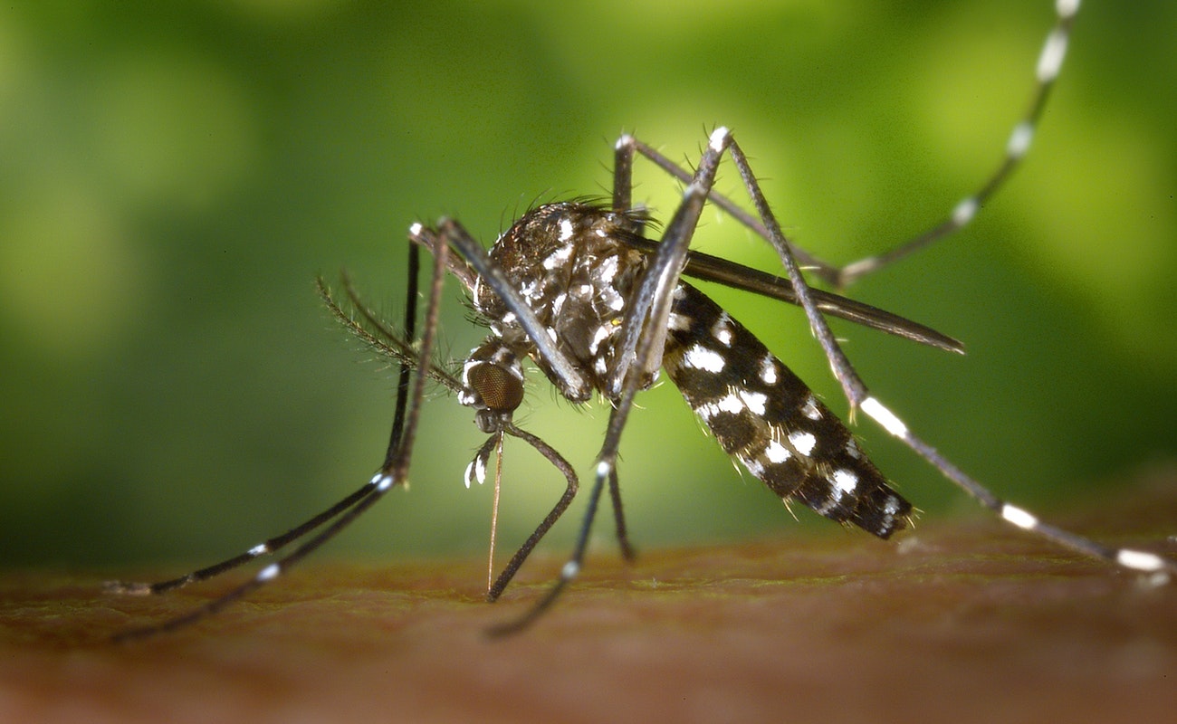 Suman más de mil 100 muertos por dengue en Filipinas