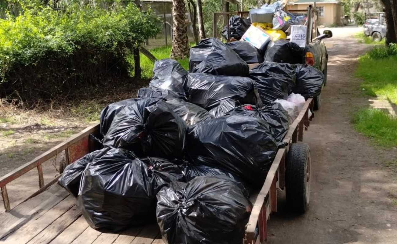 Recolectan siete toneladas de basura semanalmente en parque Morelos