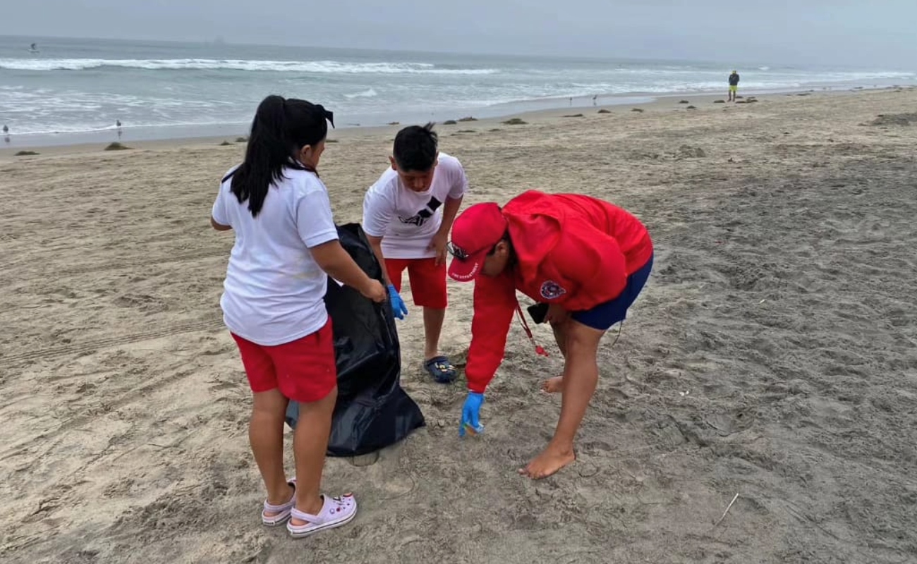 Retiran media tonelada de basura de las playas con apoyo de niños del Campamento de Verano 2023