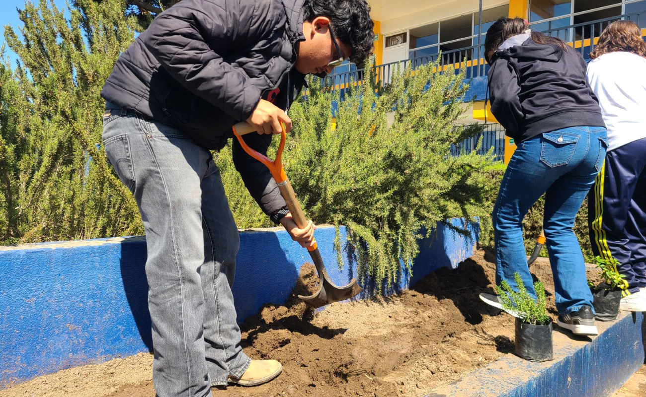 Realizan campaña de reforestación en Instituto California