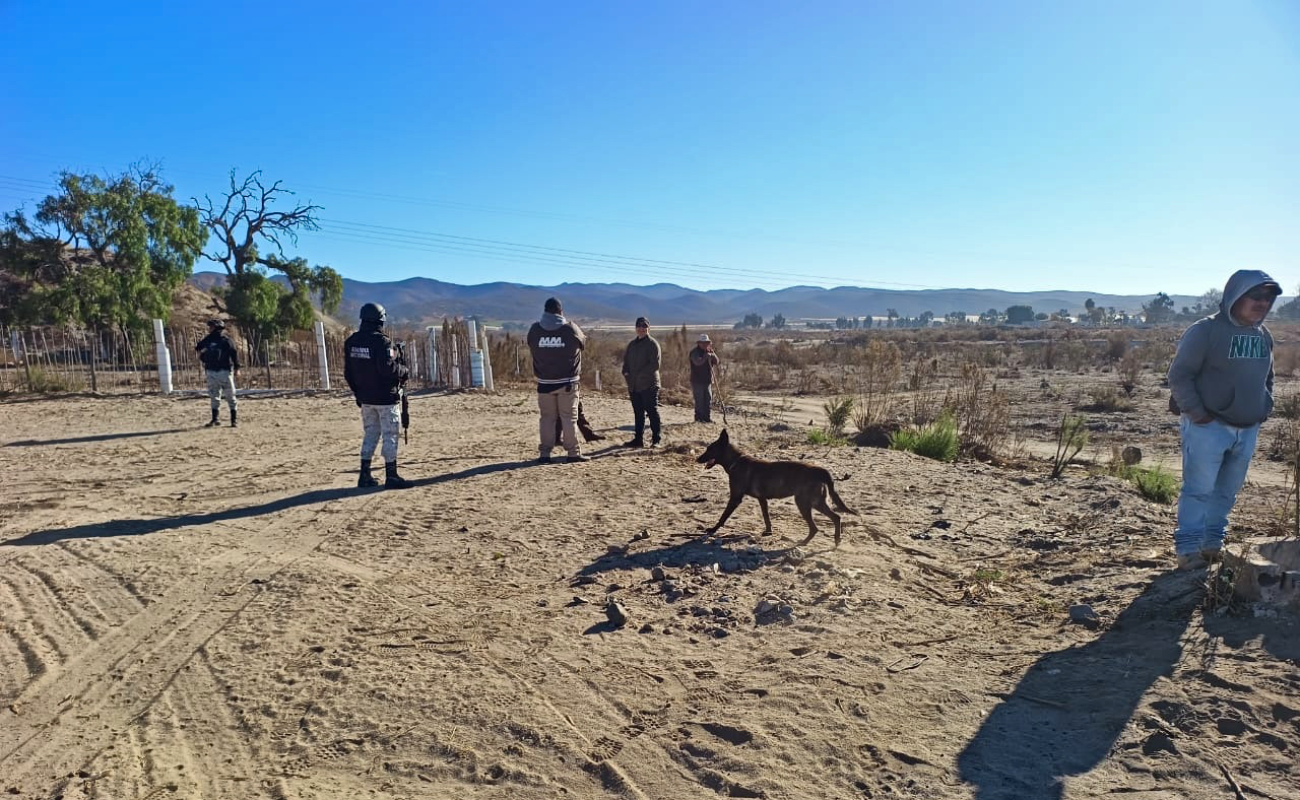 Localizan restos óseos durante brigada de búsqueda en San Quintín