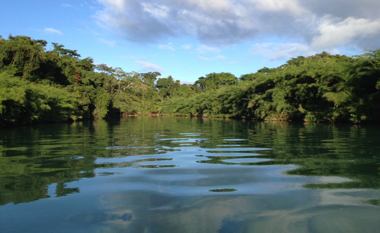 Montes Azules Zona Mexicana Con Mayor Diversidad Biológica