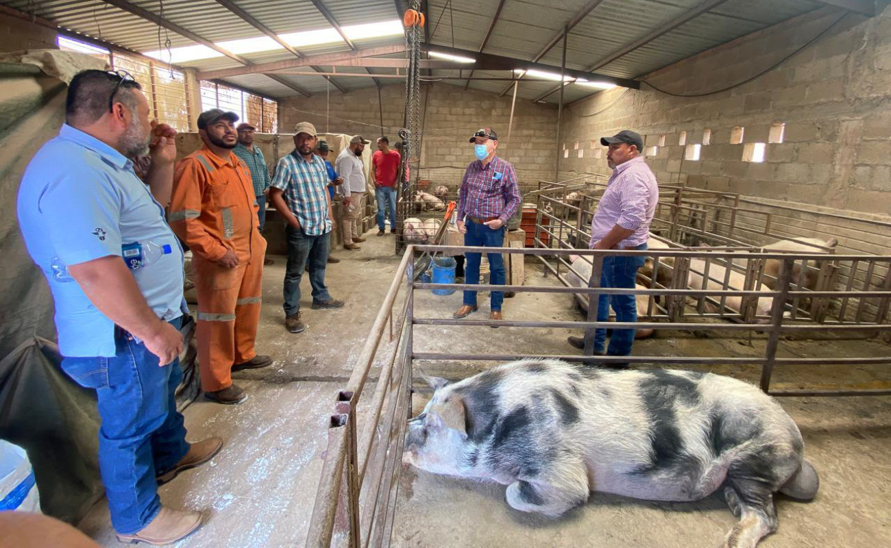 Capacita Agricultura a ganaderos zacatecanos para incrementar su productividad