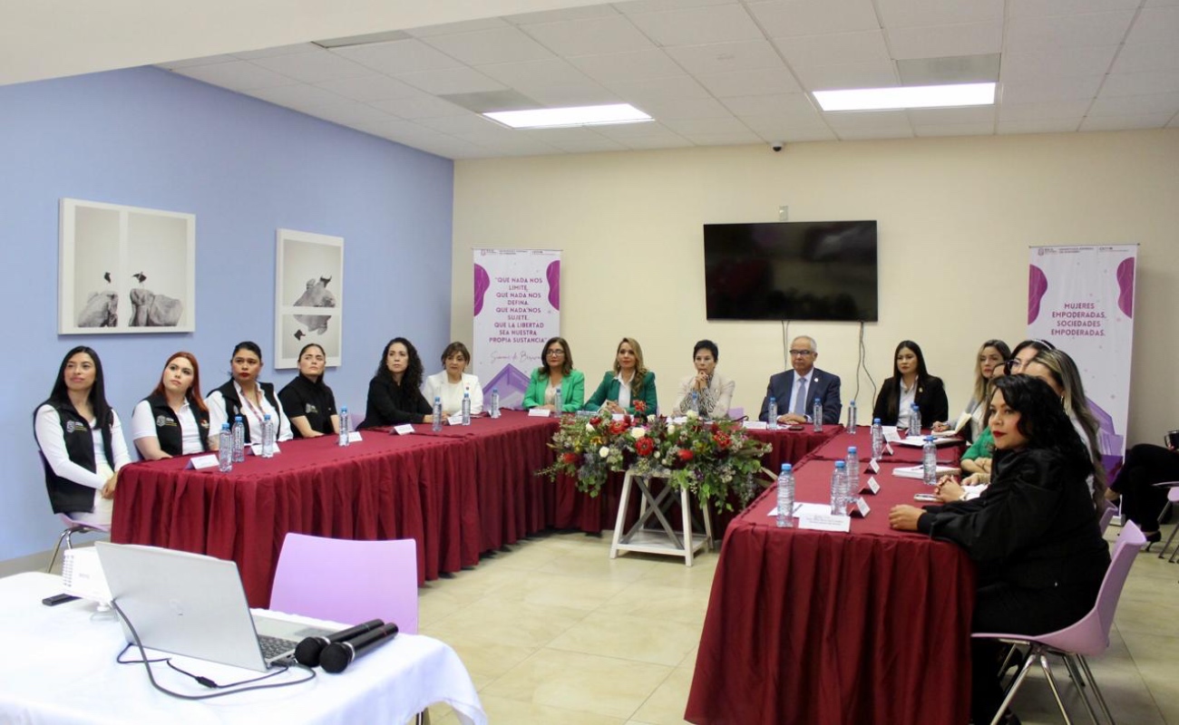 Avanza Gobierno Estatal y Consulado de México en San Diego en agenda binacional contra violencia de género