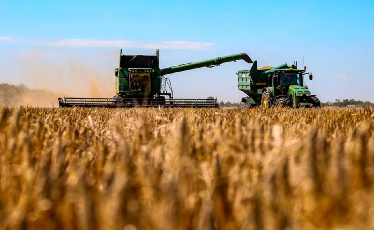 La crisis agrícola mundial es crónica tras nueve meses de guerra en Ucrania