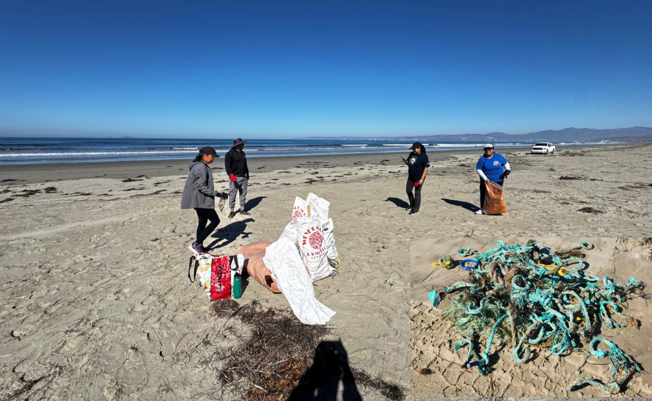 Recolectan más de 100 kg. de basura en lengüeta arenosa