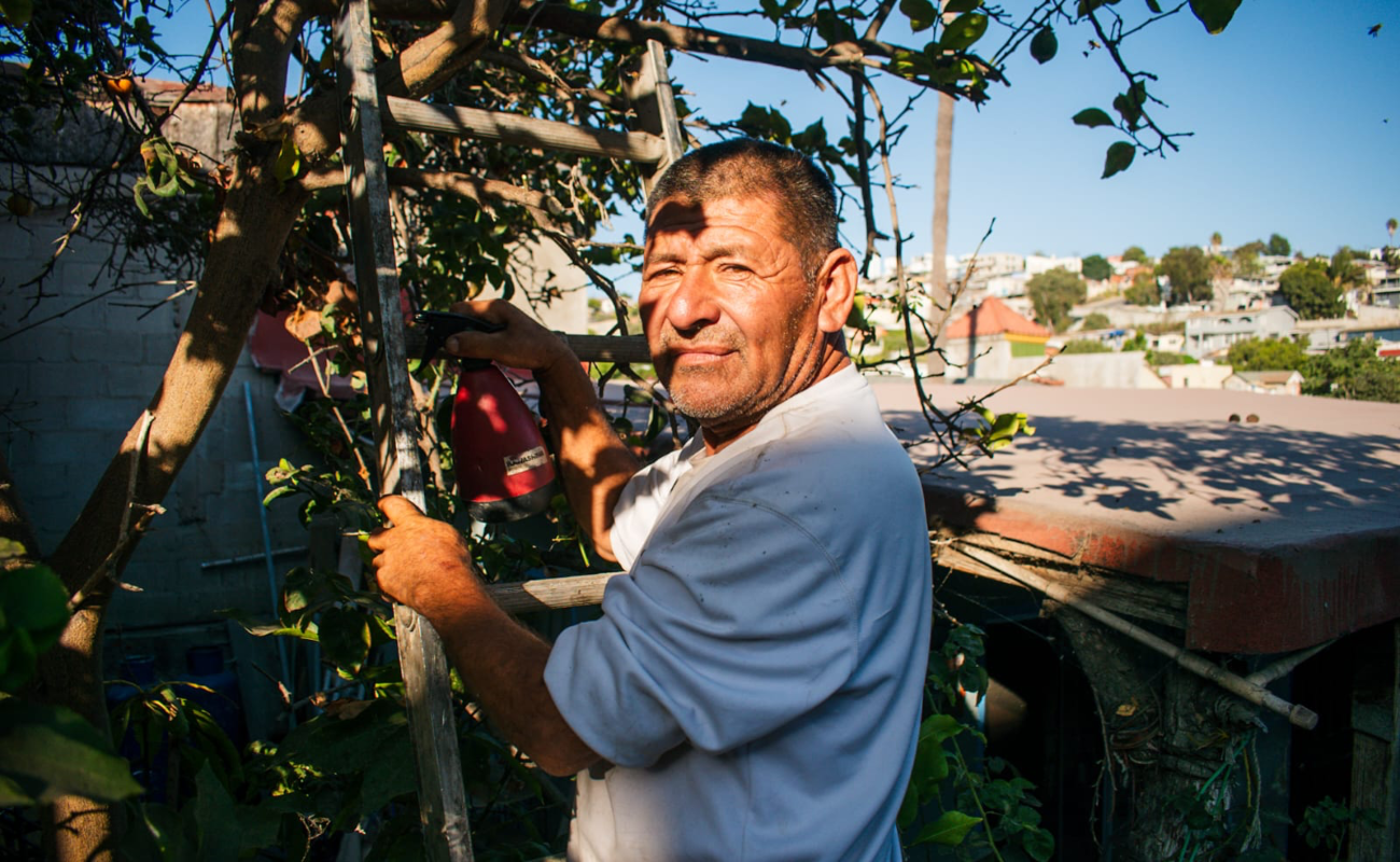 Aurelio Rodríguez, "El Hombre Abeja" que rescata enjambres de abejas en Tijuana