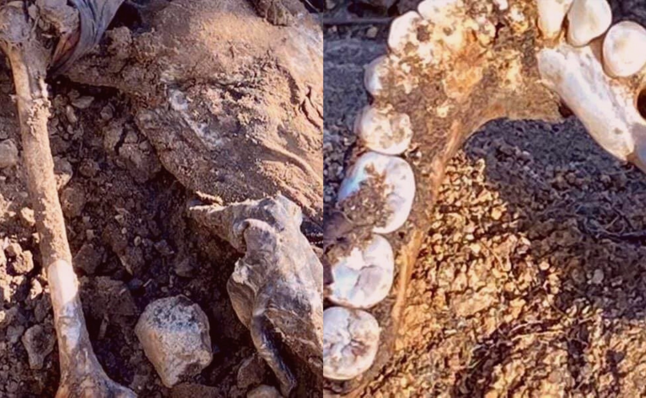 Investigan restos humanos localizados en Loma Tova