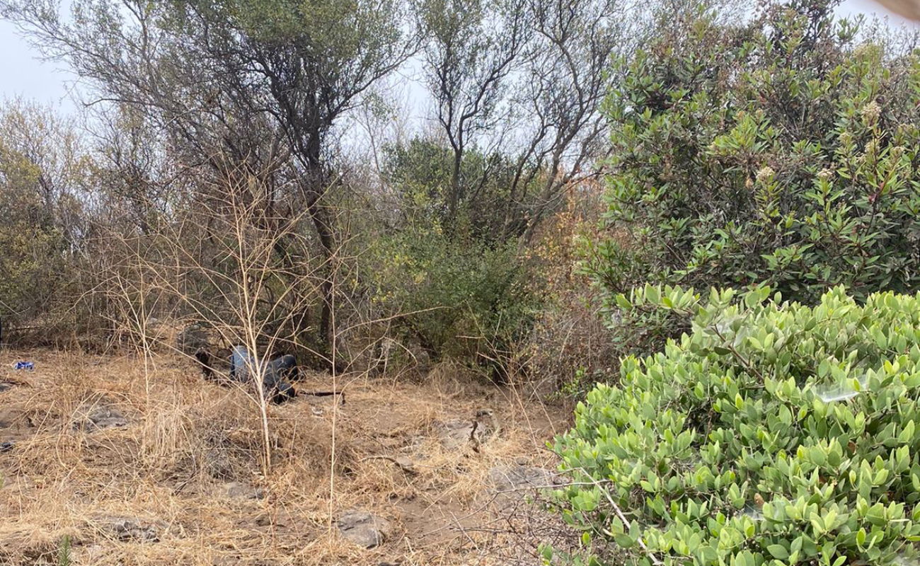 Hallan cadáver calcinado y sin un brazo en cerro de Valle Dorado