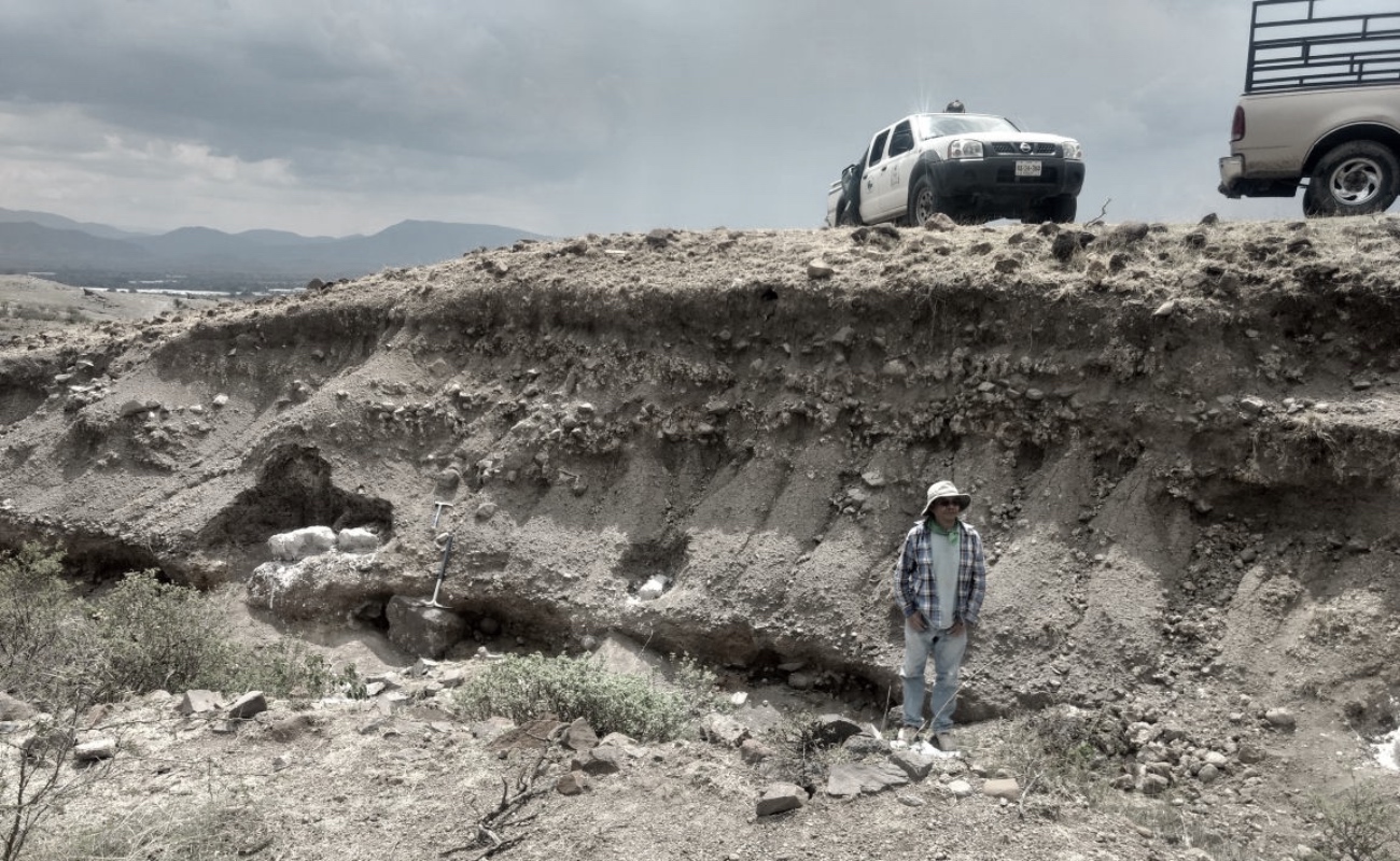 Encuentran restos de elefante con más de 10 mil años de antigüedad en México