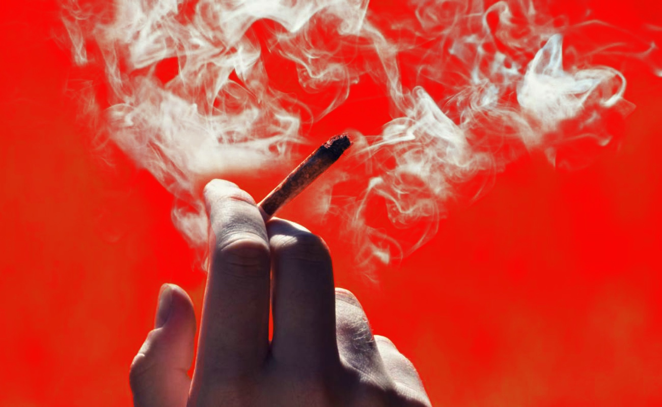 Prohibición de cannabis ya es insostenible: Secretaría Salud