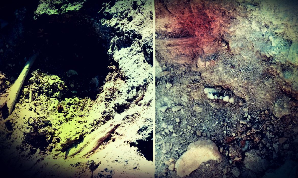 Hallan dos cuerpos en fosa clandestina de Loma Tova, Tecate