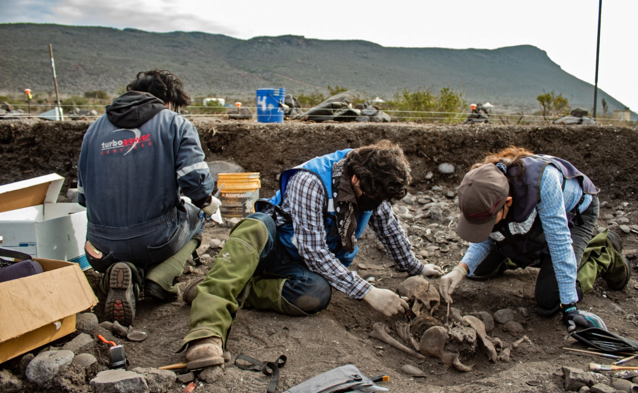 Descubren 20 restos mortuorios arqueológicos al Norte de Ensenada