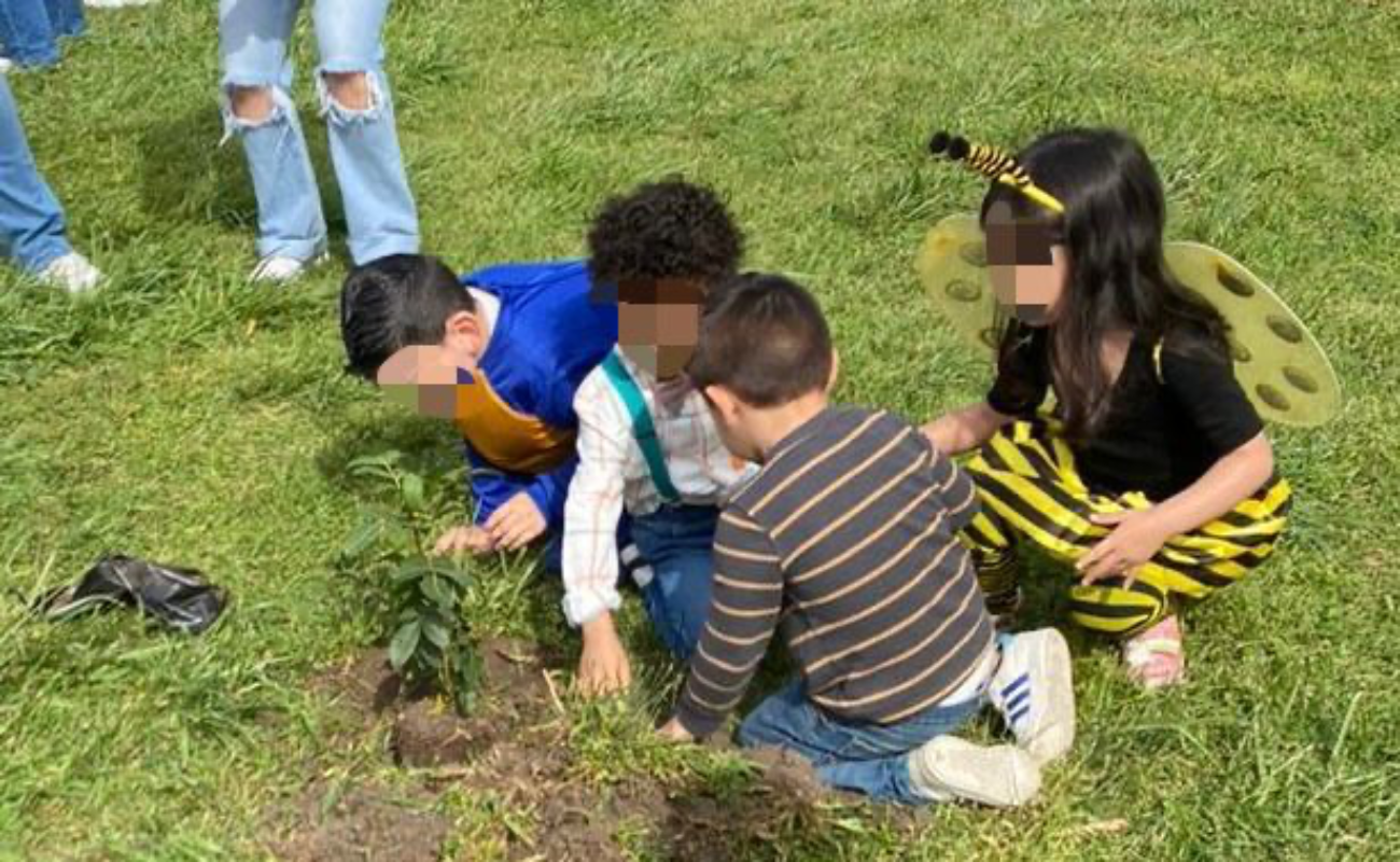 Participan niños en reforestación del Parque de La Amistad
