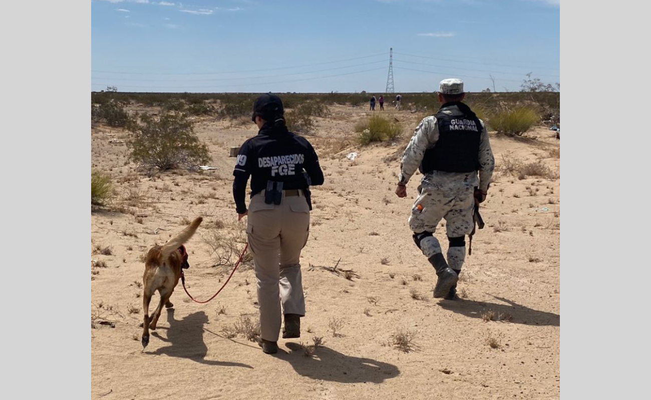 Localizan restos óseos en Operativo de Búsqueda en San Luis Río Colorado