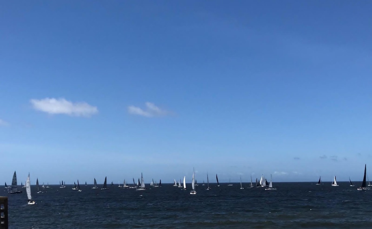 Arranca Regata Newport-Ensenada con 165 veleros