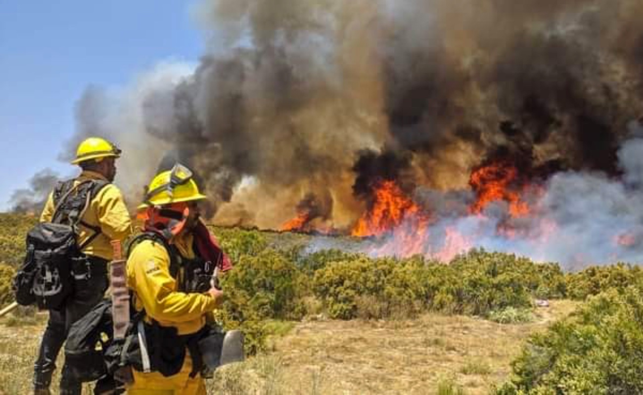 Se prepara SADERBC y comité del manejo de fuego ante temporada de incendios forestales