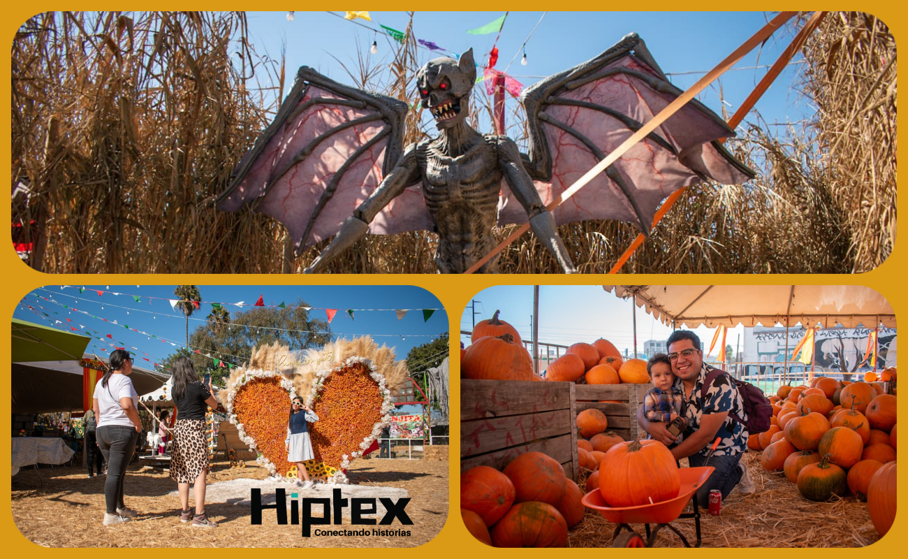 Festival de la Calabaza un espacio otoñal para disfrutar en familia