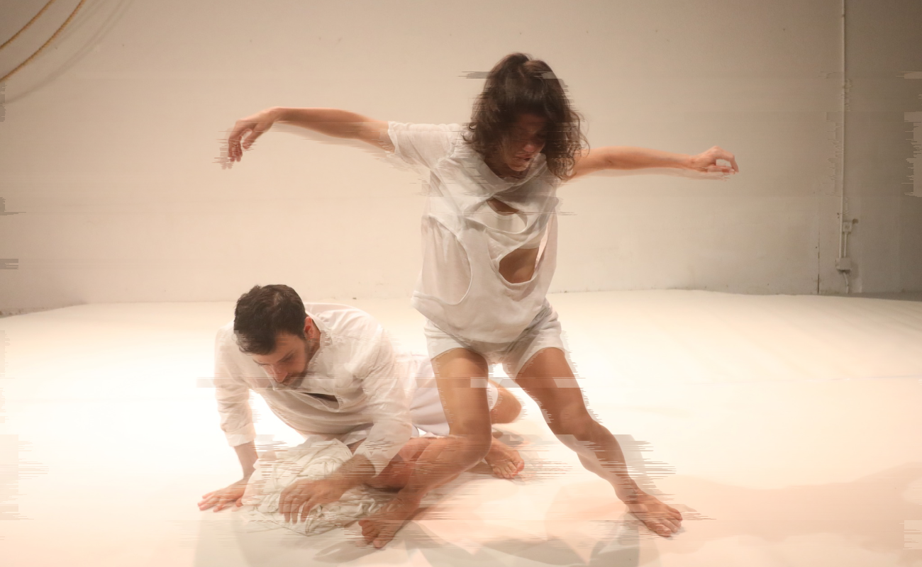 Ofrecerá Cecut la XXIV Muestra Internacional de Danza / Tijuana Cuerpos En Tránsito