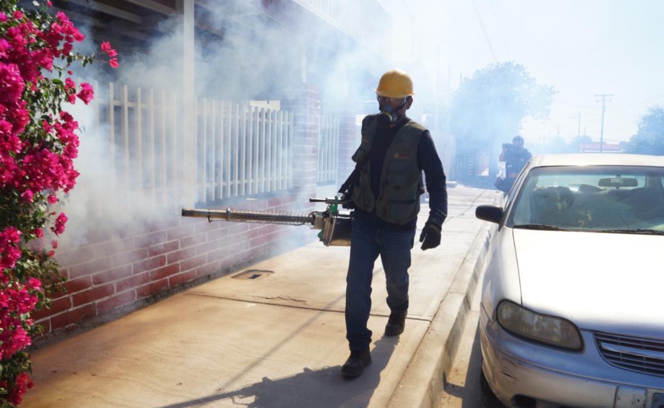 Refuerzan brigadas preventivas en Mexicali contra el mosquito del dengue