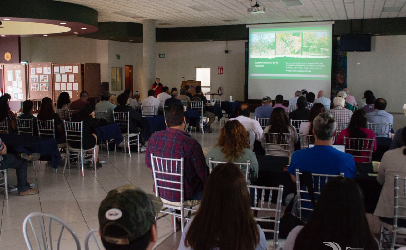 Simposio de Viticultura reúne a centena de productores, académicos y funcionarios