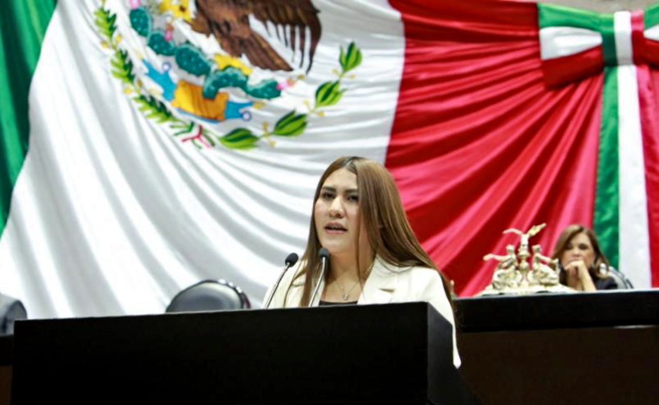 Denuncia diputada Leslie Estefanía Rodríguez mega endeudamiento del Gobierno Federal