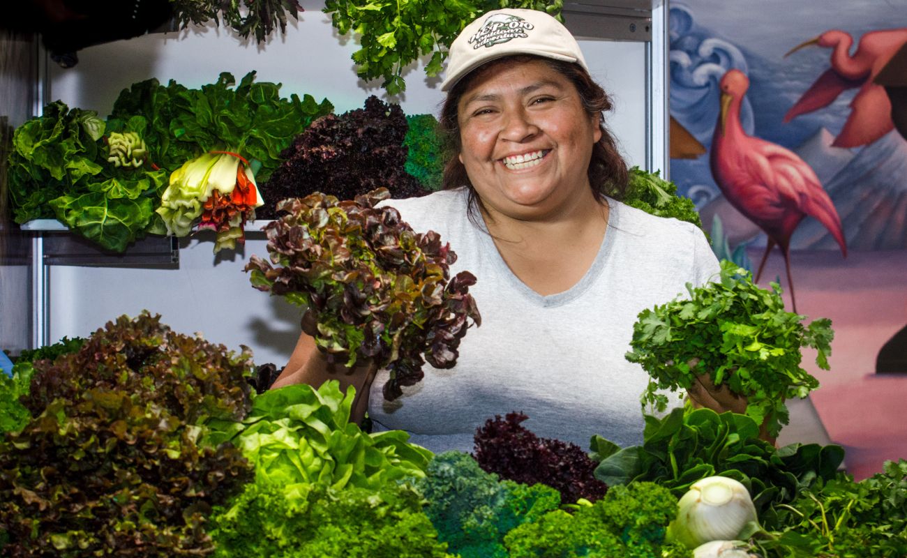 Impulsa Agricultura programas de desarrollo agrícola y ambiental en el municipio de Texcoco