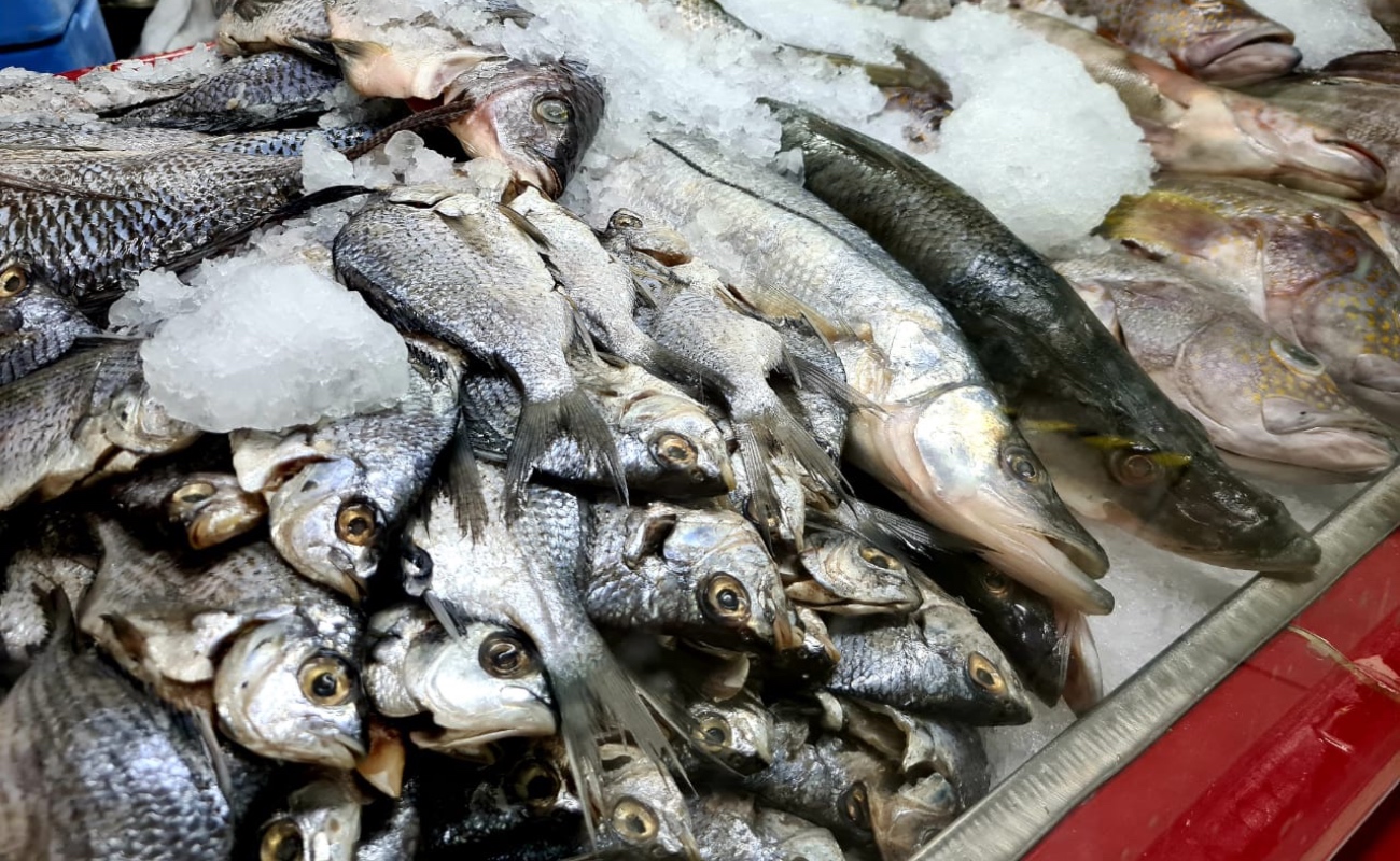 Recomiendan cuidados en el consumo de pescados y mariscos en Cuaresma