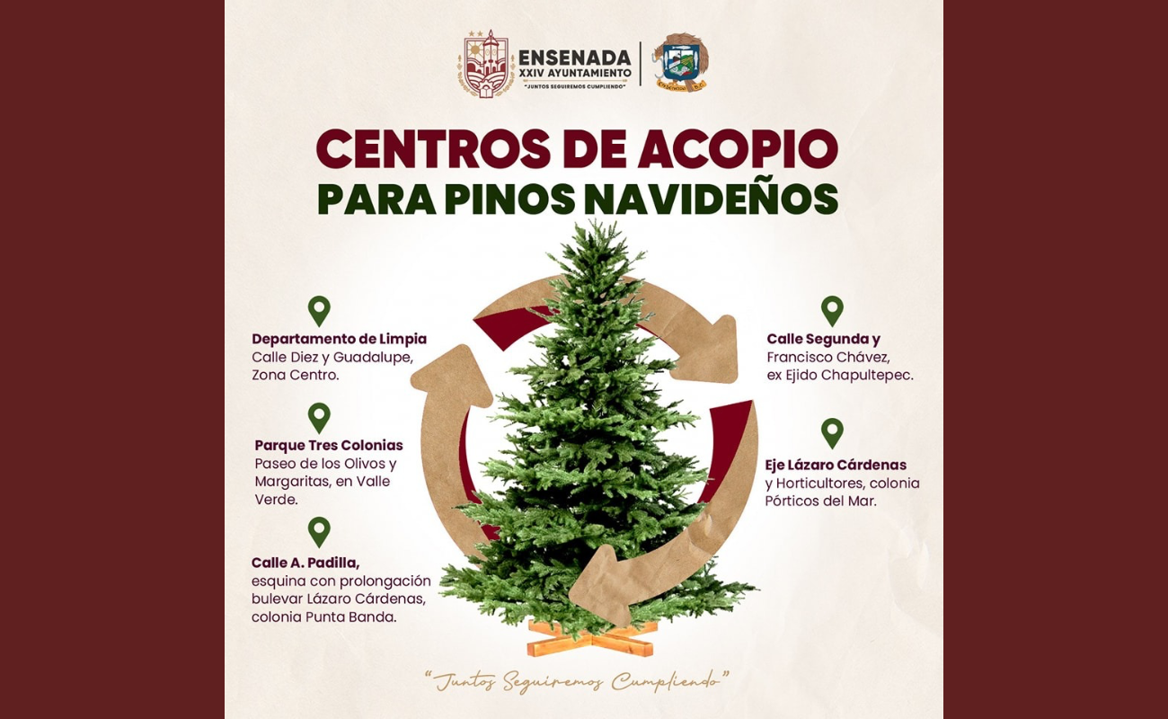 Hasta el 4 de Febrero permanecerán abiertos centros de acopio de árboles navideños