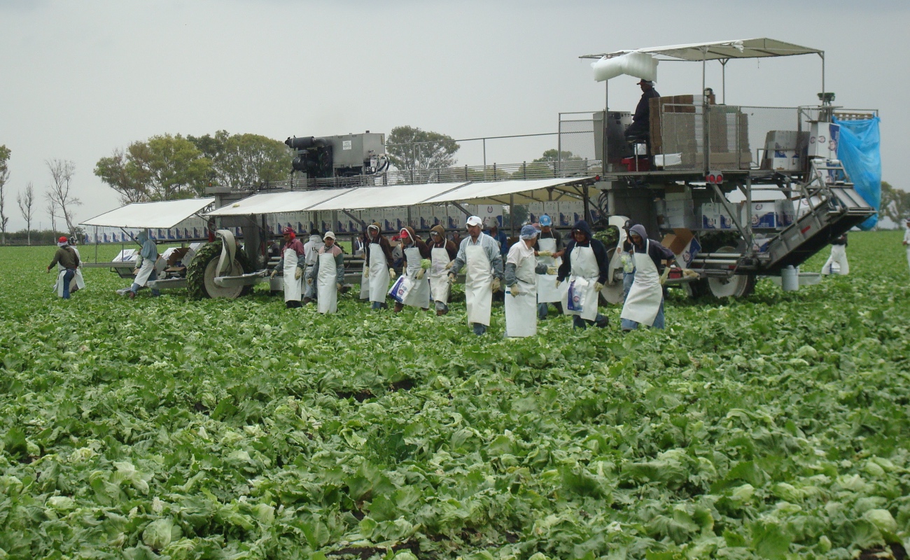 Fortalecen México y Estados Unidos sanidad e inocuidad en el comercio agroalimentario bilateral