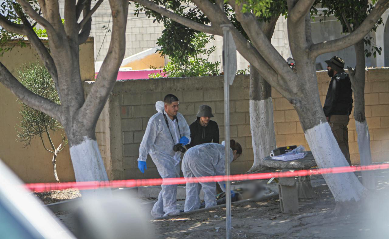 Hallan a un hombre sin vida en Real de San Francisco