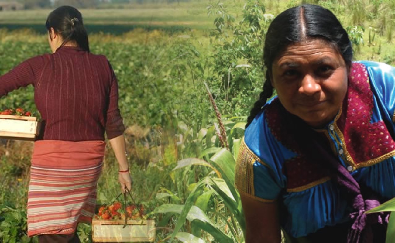 Reconoce Agricultura a las mujeres rurales, base de la transformación del campo nacional