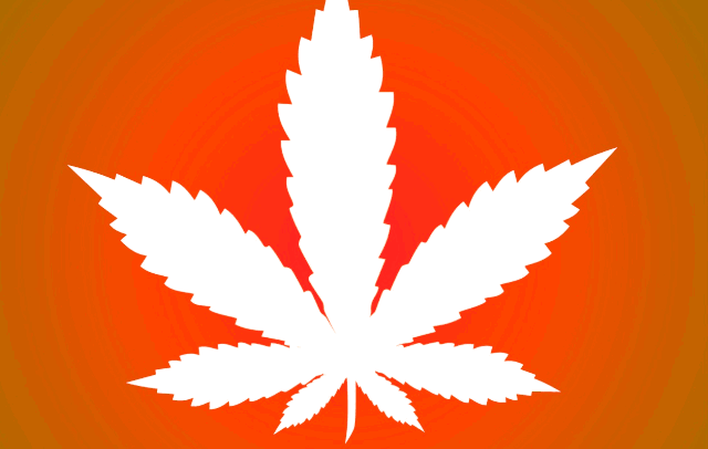 Libera Cofepris primer paquete de productos con cannabis