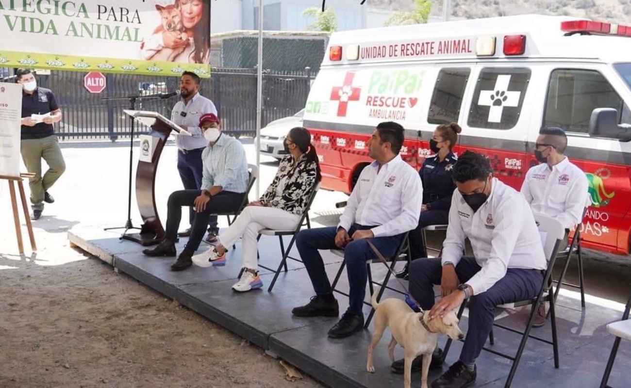 Presentan proyecto del nuevo Centro de Atención Canina y ambulancia de rescate animal