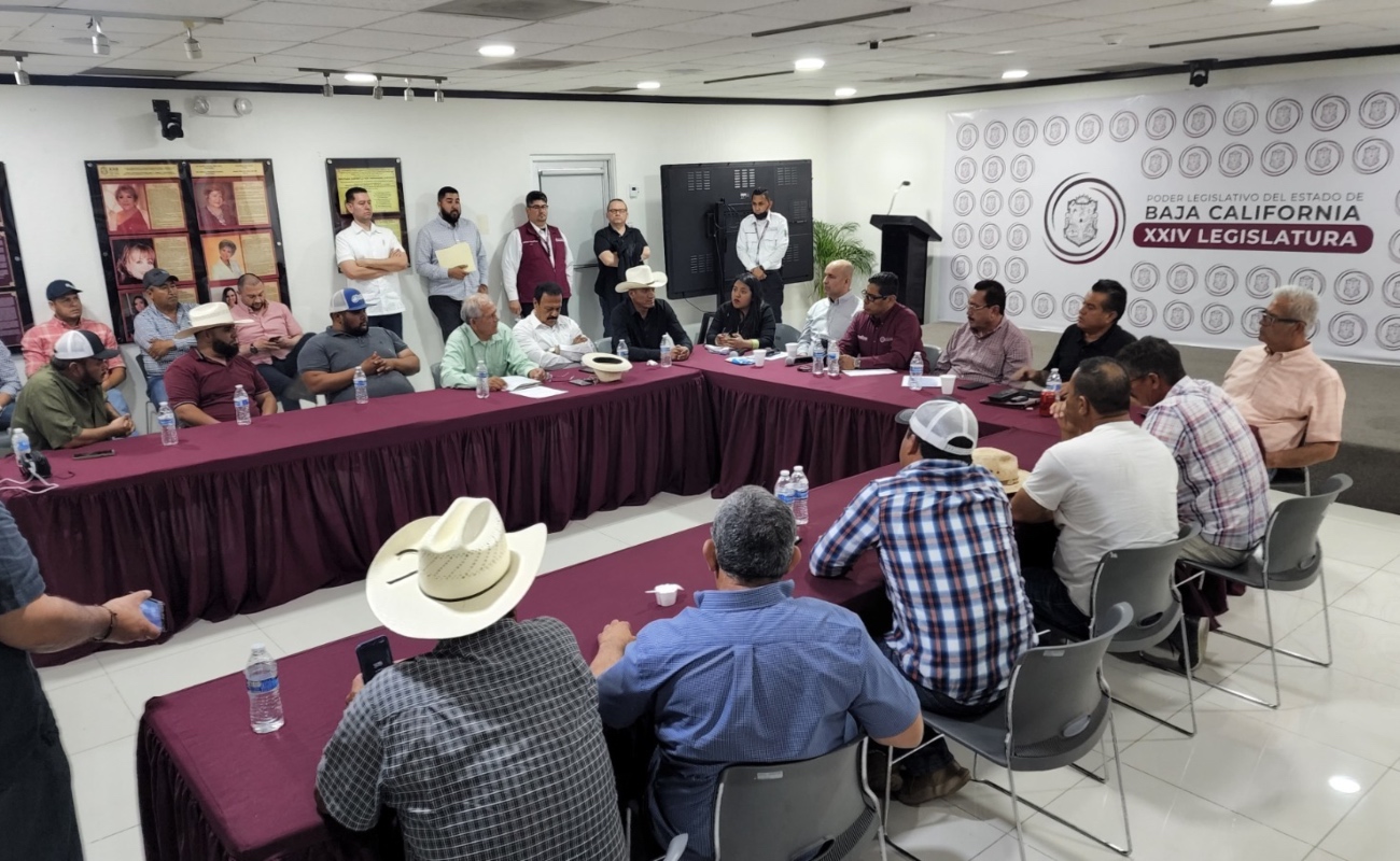 Analizan crisis de trigueros en Baja California; buscan solución