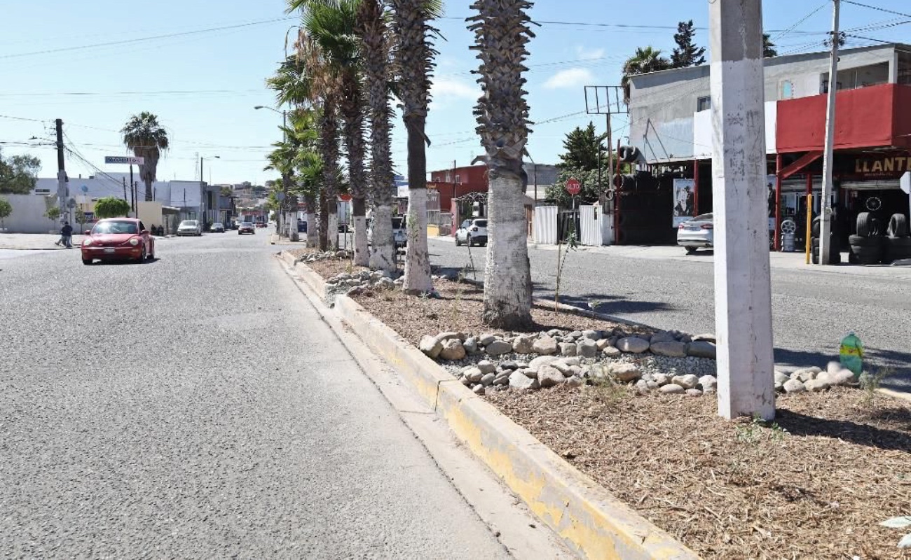 Proponen infraestructura verde en camellones para mejorar gestión del agua