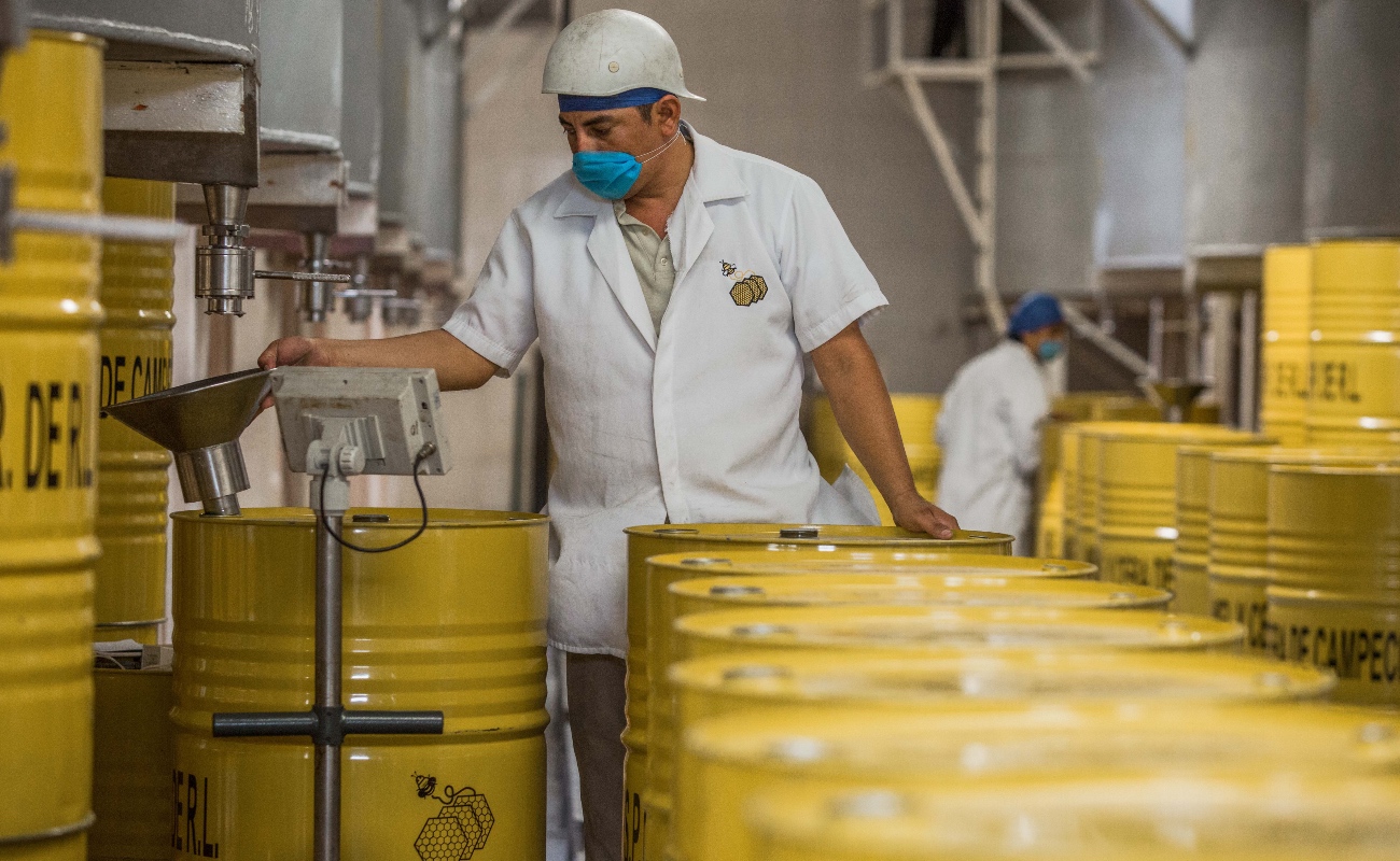 Prevén crecimiento de 22.4 por ciento en la producción de miel mexicana