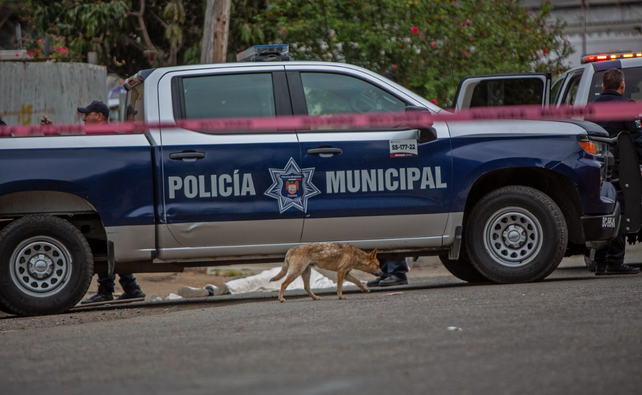 Matan a mujer a golpe de garrote en la colonia Morelos