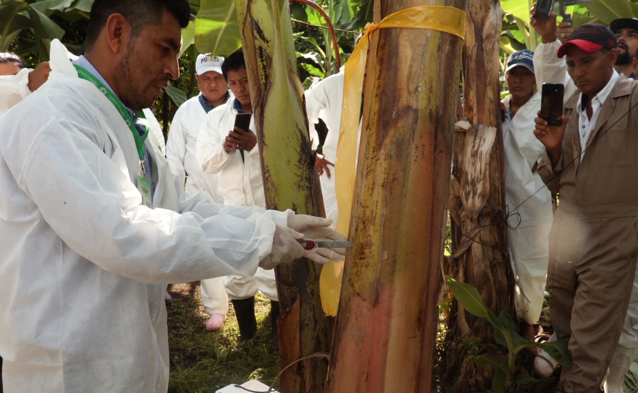 Proponen Agricultura y Comunidad Andina colaboración técnica y científica en beneficio de la región