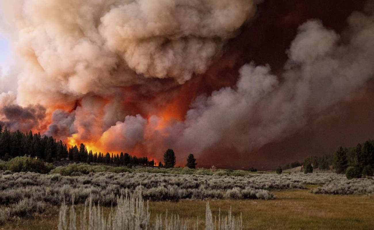 Combaten dos grandes incendios forestales al norte de California