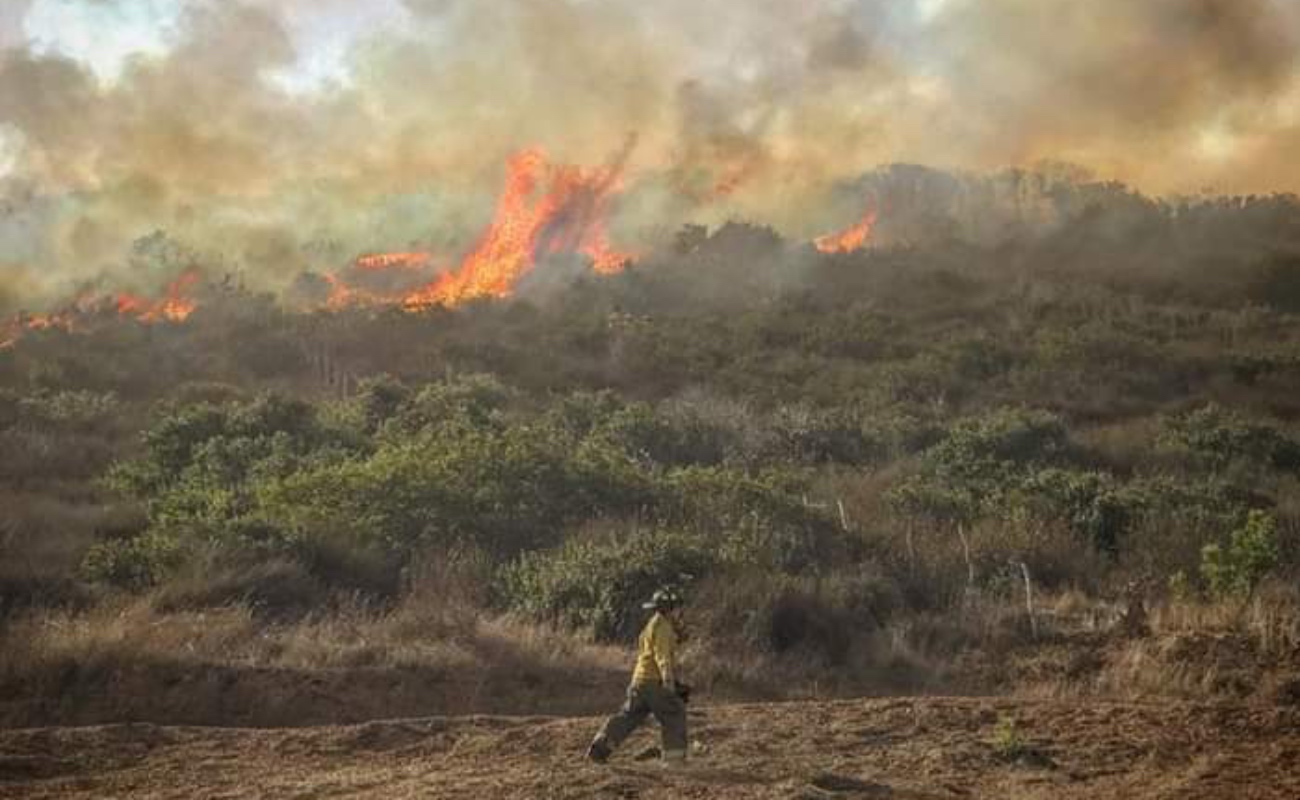 Pronostican fuerte temporada de incendios forestales