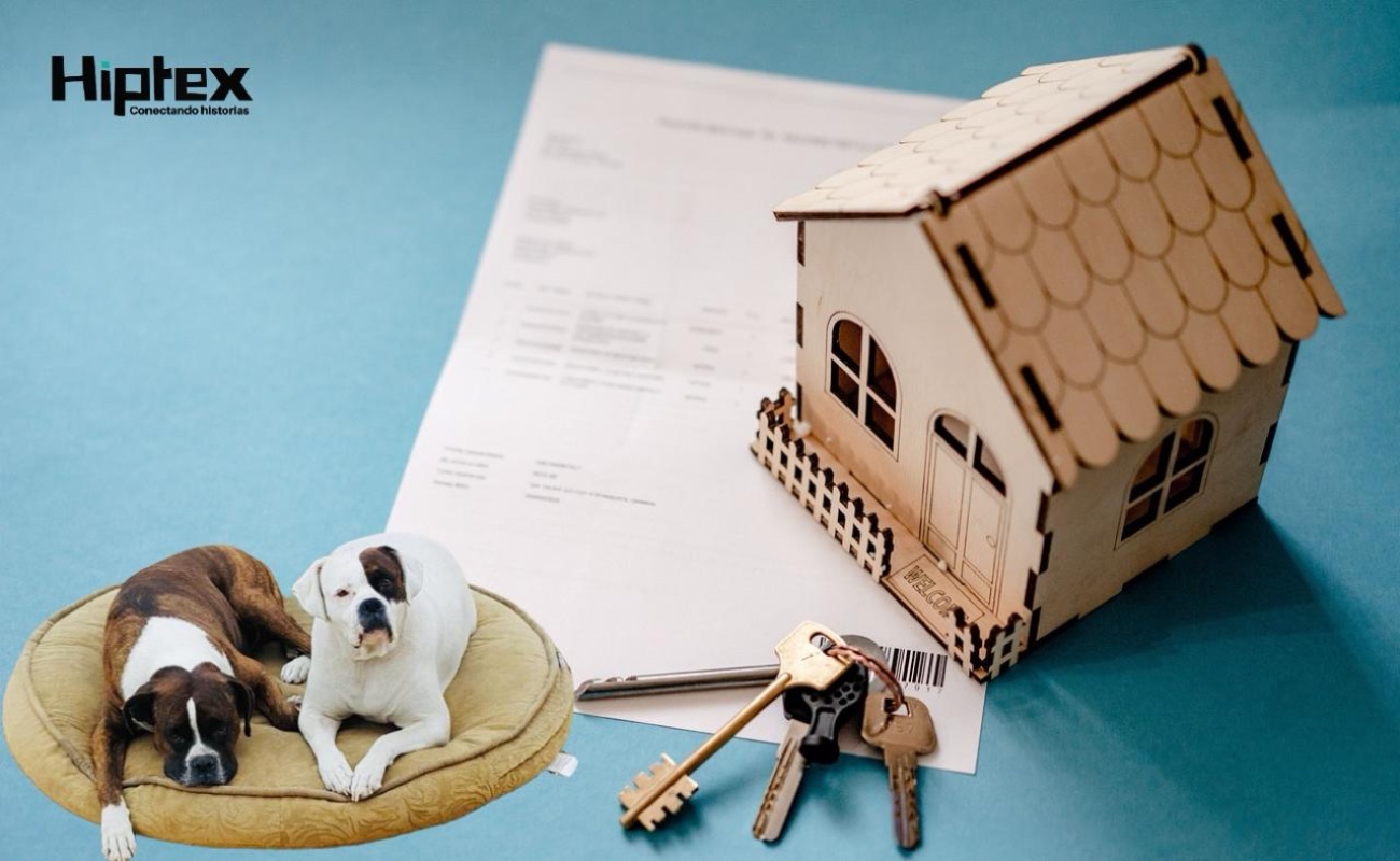 Crece la demanda de viviendas “Pet Friendly” en Baja California