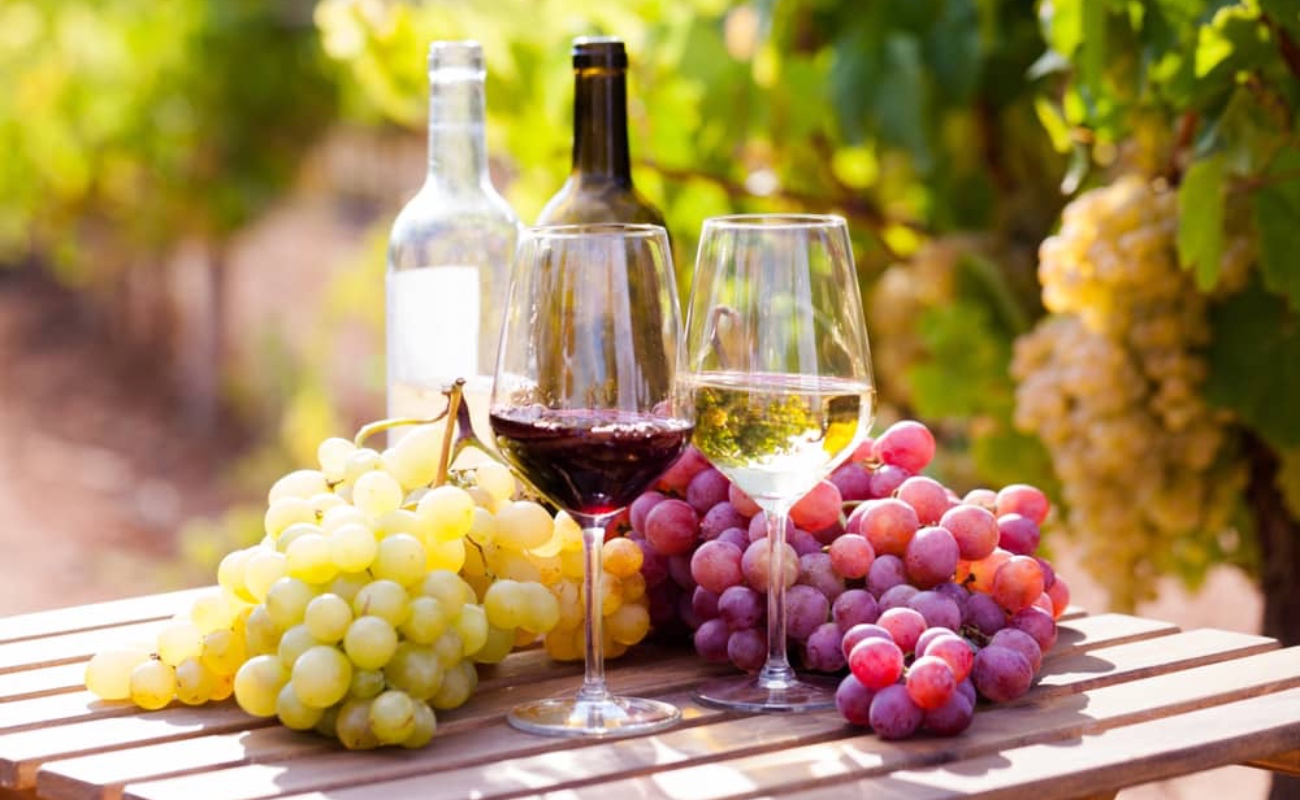 Industria de la viña y vino, motor de crecimiento y empleo para 15 entidades del país: Agricultura