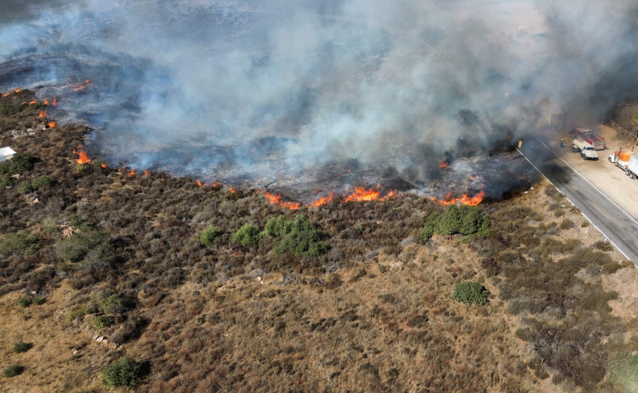 Registra 70 siniestros temporada de incendios forestales 2024: CAM