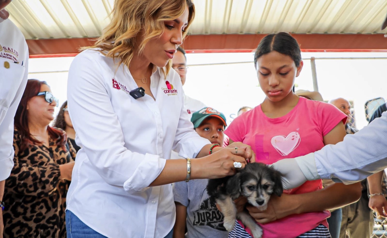 Encabeza Marina del Pilar jornada contra la Ricketsia en la Zona Este