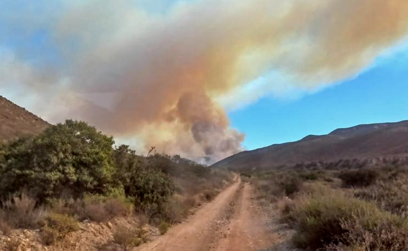 Consume incendio 5 mil hectáreas de maleza en Valle Tranquilo