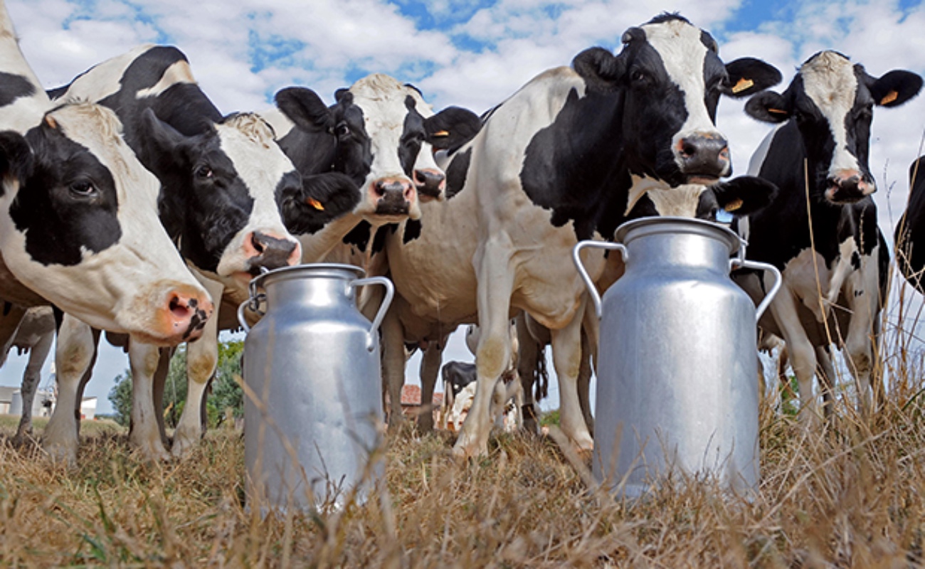 Presenta SADER BC tendencias globales del sector lácteo