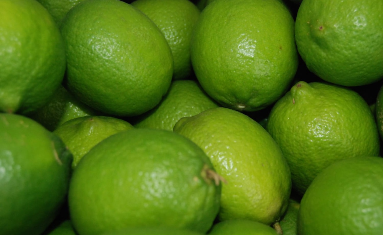 Producción de limón en México, impactada por mayor demanda y contingencias climatológicas